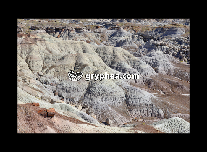 Erosion en milieu argileux (Badlands, Arizona, USA) - gryphea.com
